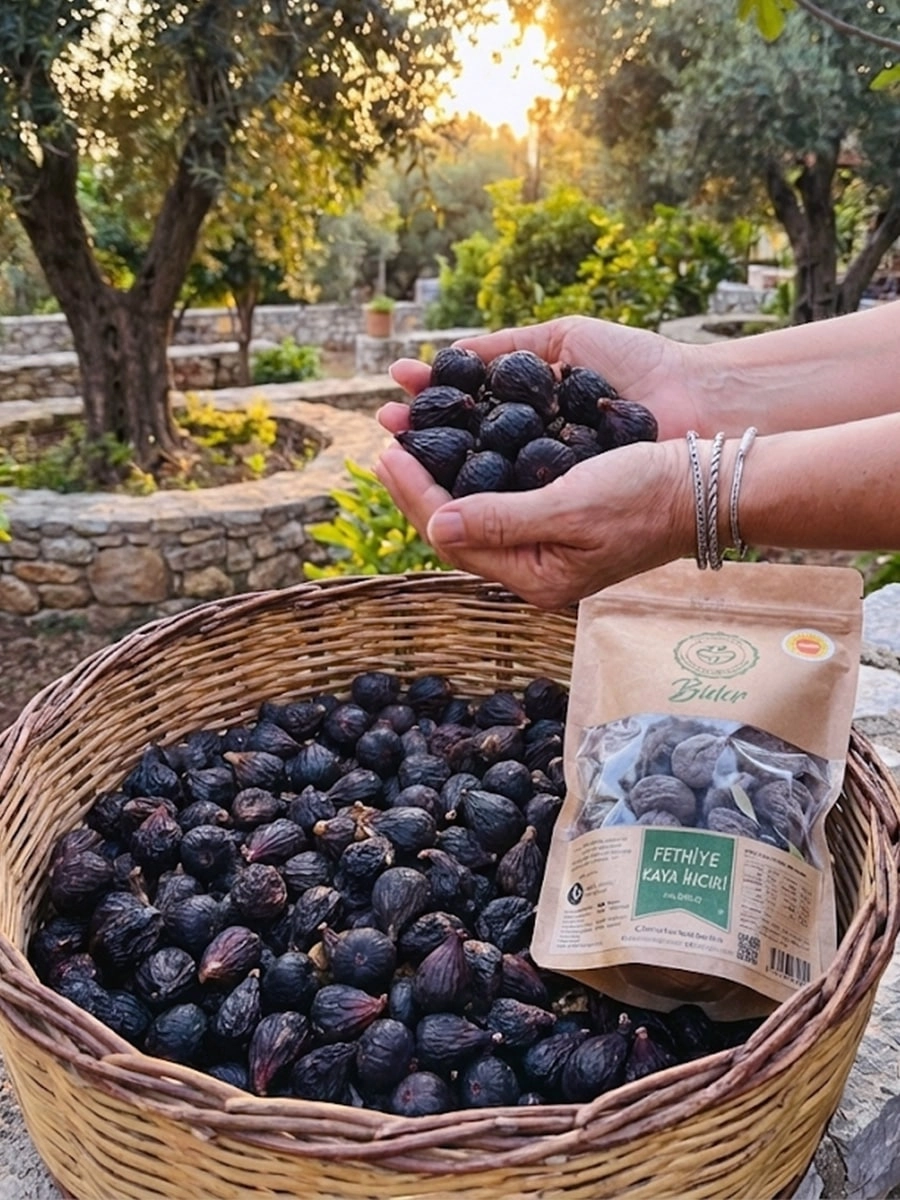 Fethiye Kaya İnciri